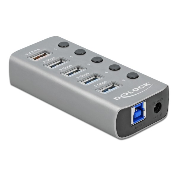 DELOCK USB hub 63262 με διακόπτες, 5x ...