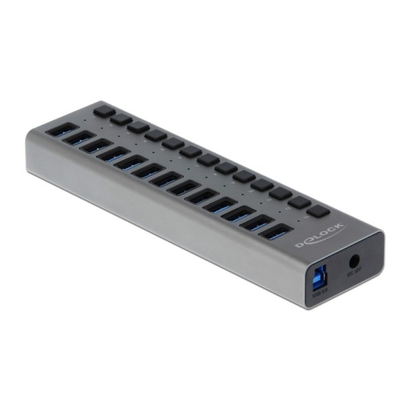 DELOCK USB hub 63738 με διακόπτες, 13x ...