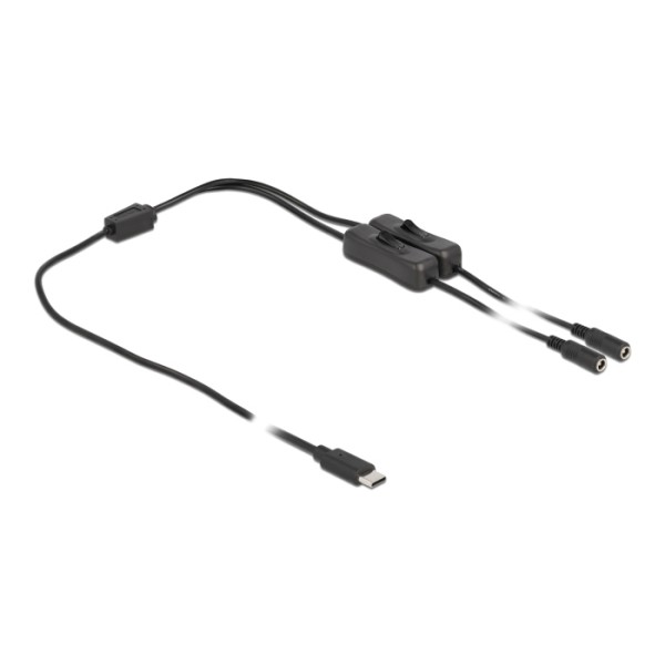 DELOCK καλώδιο USB Type-C σε 2x DC 5.5 x ...