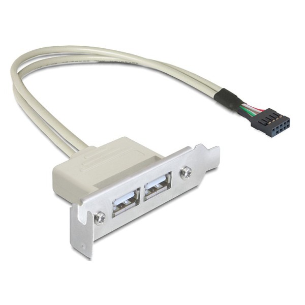 DELOCK κάρτα επέκτασης USB 9 pin σ...