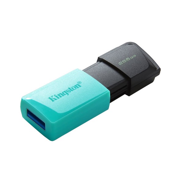 KINGSTON USB Stick DataTraveler Exodia M DTXM/256G...